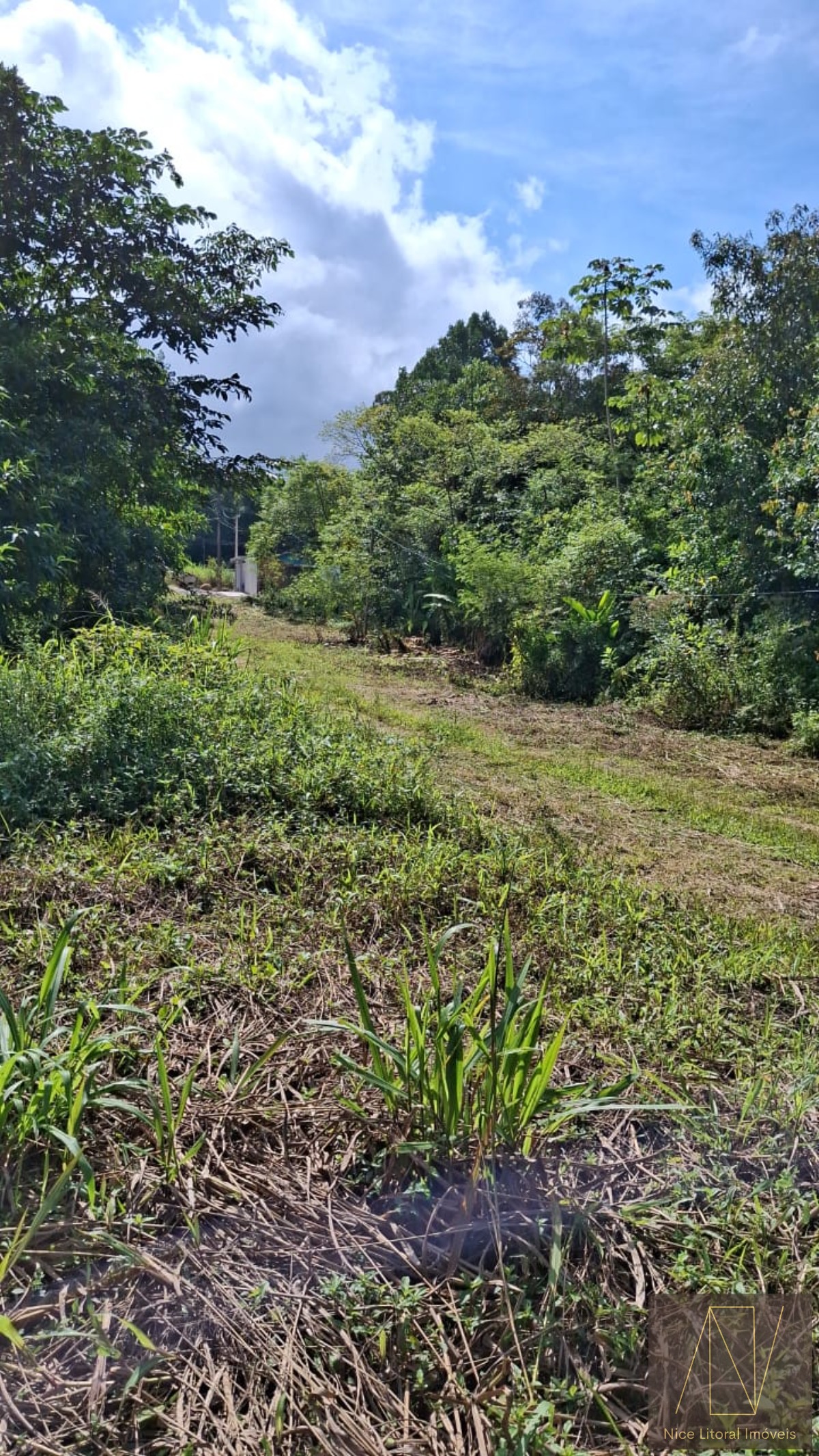 Terreno, 360 m² - Foto 4