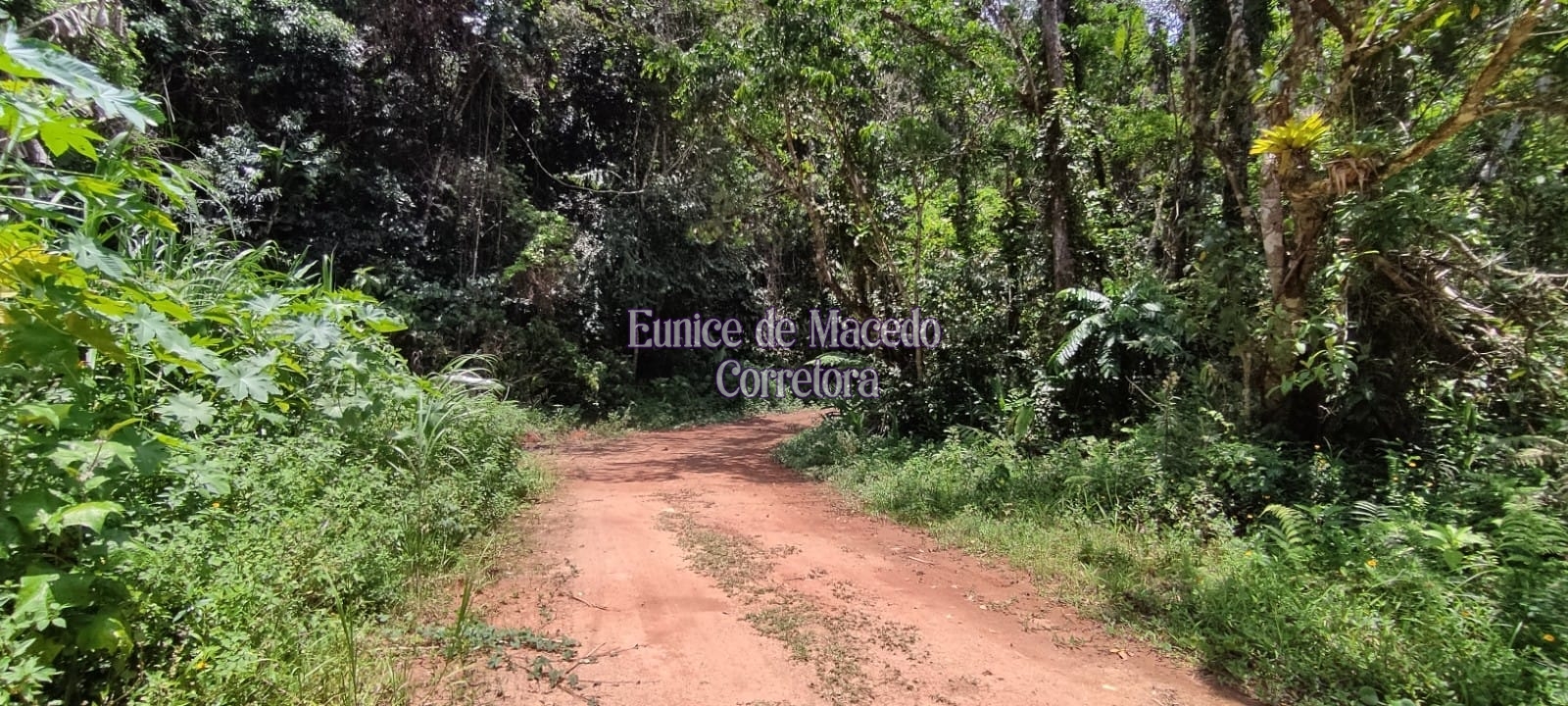 Terreno, 750 m² - Foto 2